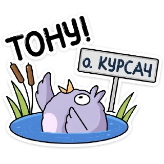 🏊‍♀️