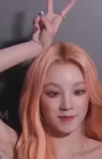 🐰
