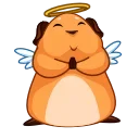 😇