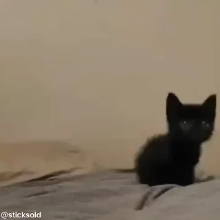 🥺