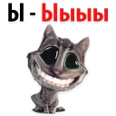 🐱