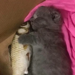 💕