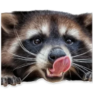 😍