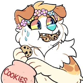 🍪