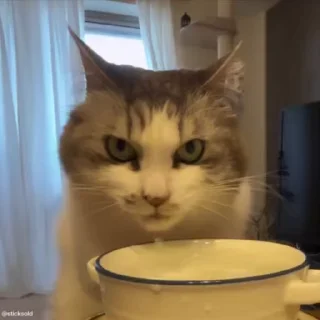 😑