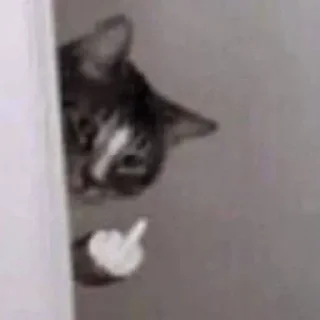 🖕