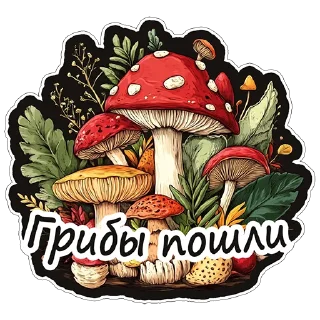 🍄