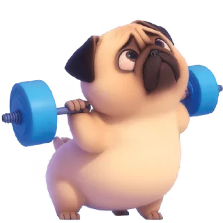 🏋‍♀