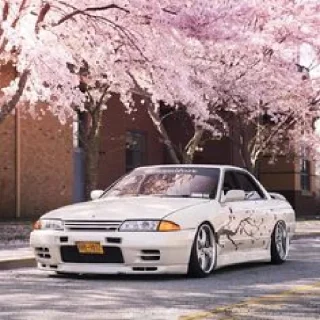 🌸