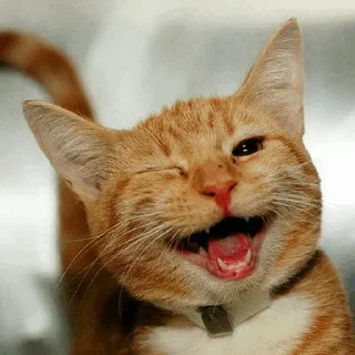 🥳