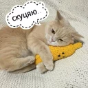 😞
