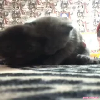 🥰