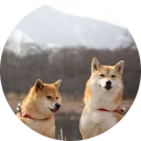 👫