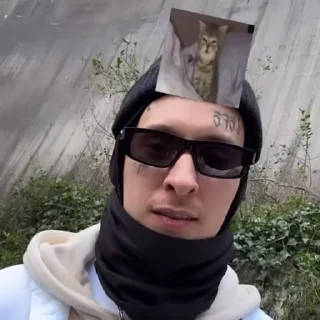 😹