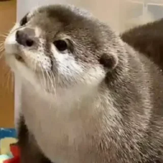 😐