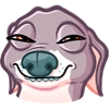 Kermit The Dog