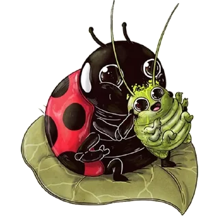 🐞