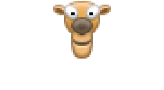 🐫