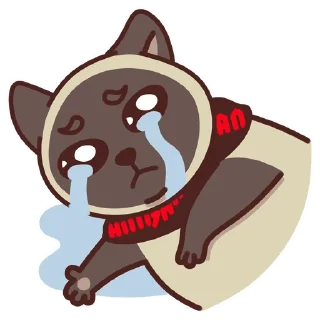 😭