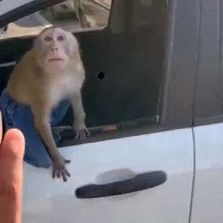 🤩