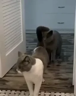 😄