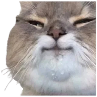 ☺️