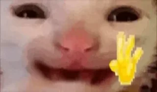 🖐