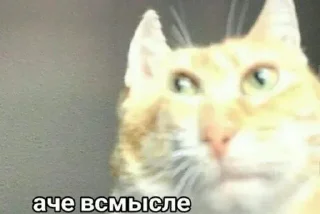 ❓