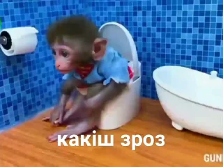 🐒