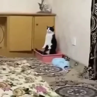 😭