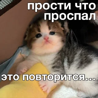 😊