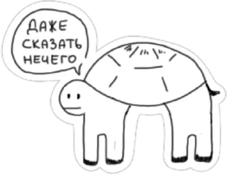 🐢