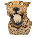😱