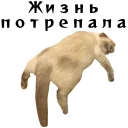 🥺