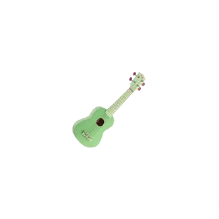 🎸
