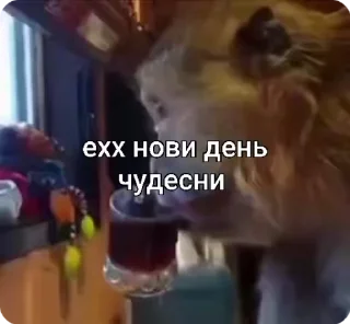 ☕