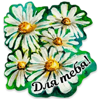 🌼