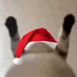 🎅