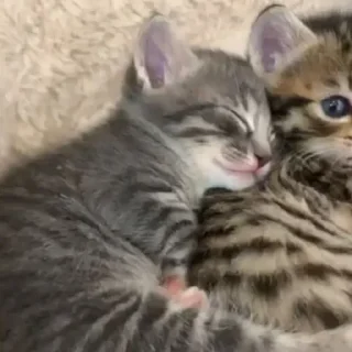 ❤️