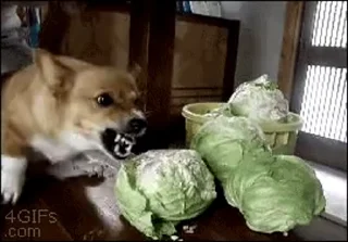 🥦