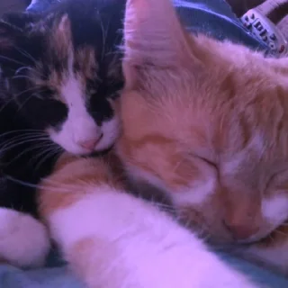 💜