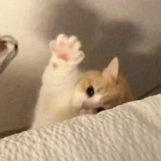 👋