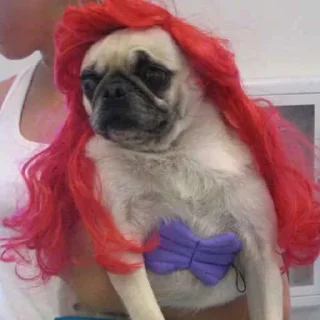 🧜‍♀️