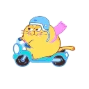 🛵