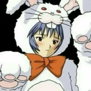 🐰