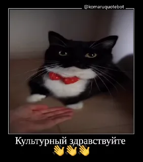 🎩