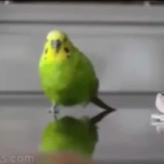 💥