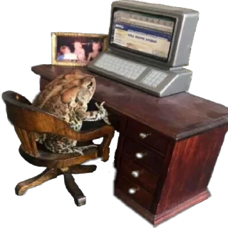 🖥