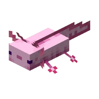 💗