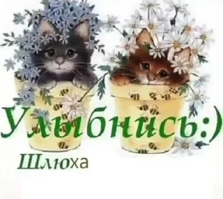 😊